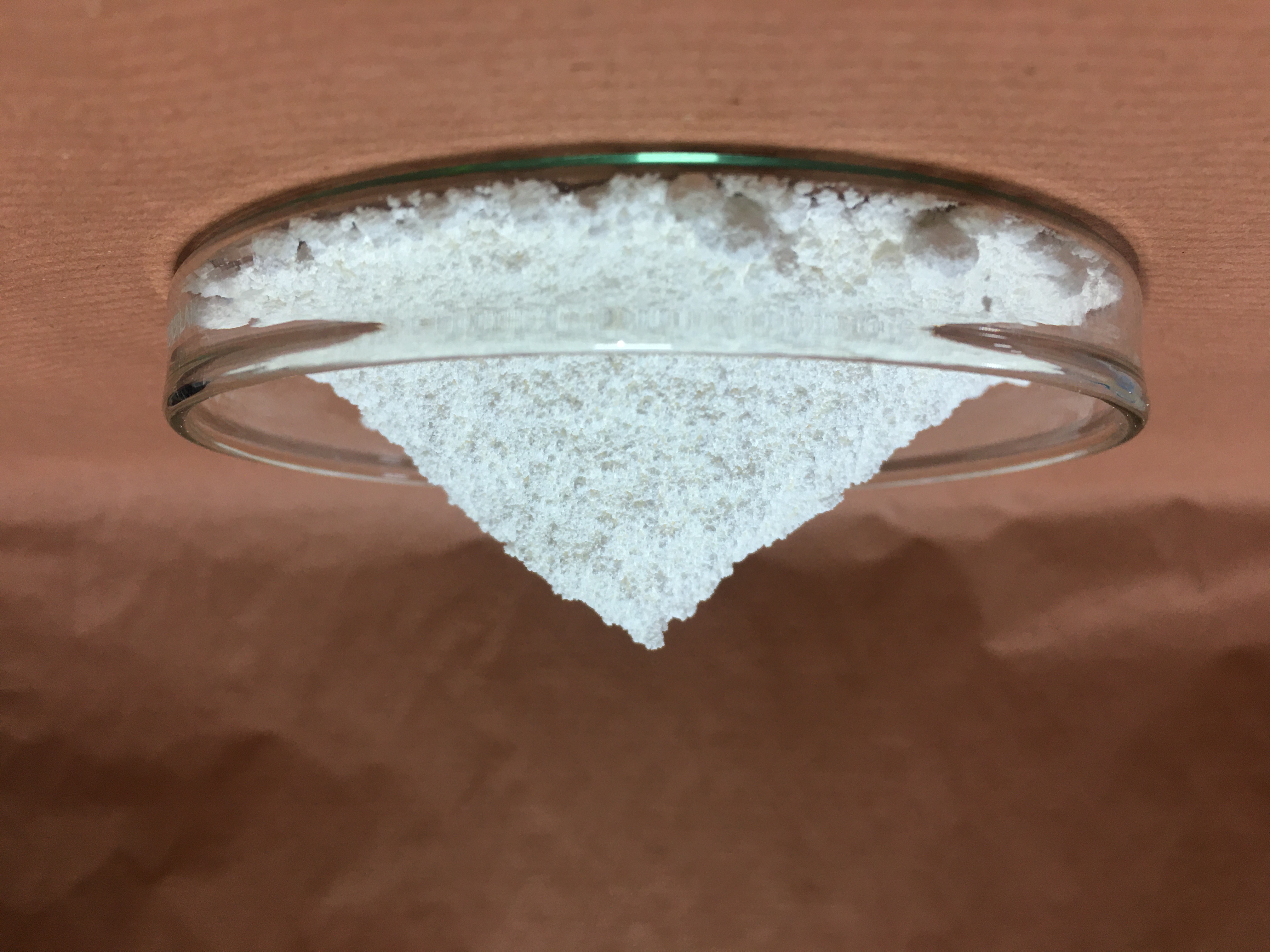 Zinc Pyrithione (ZPT)